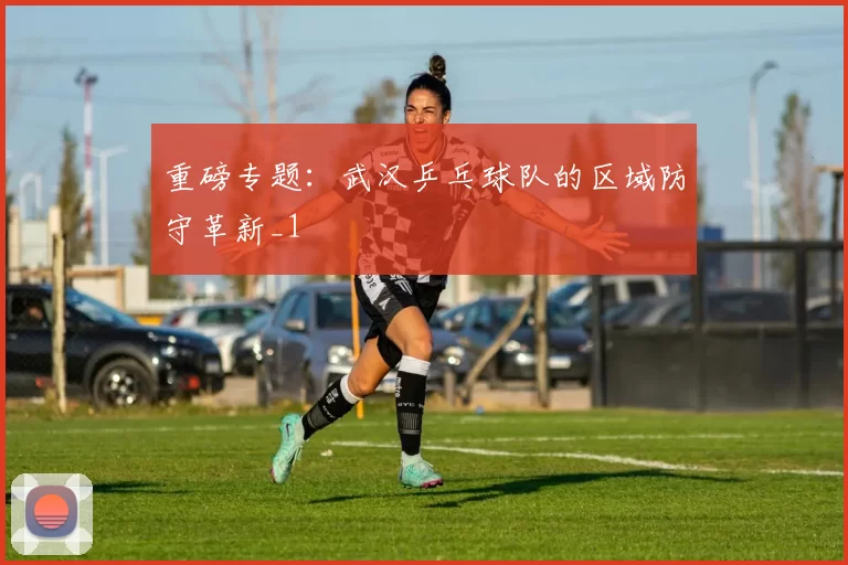 重磅专题：武汉乒乓球队的区域防守革新_1