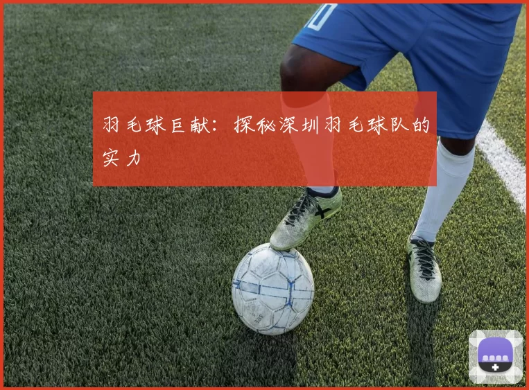 羽毛球巨献：探秘深圳羽毛球队的实力