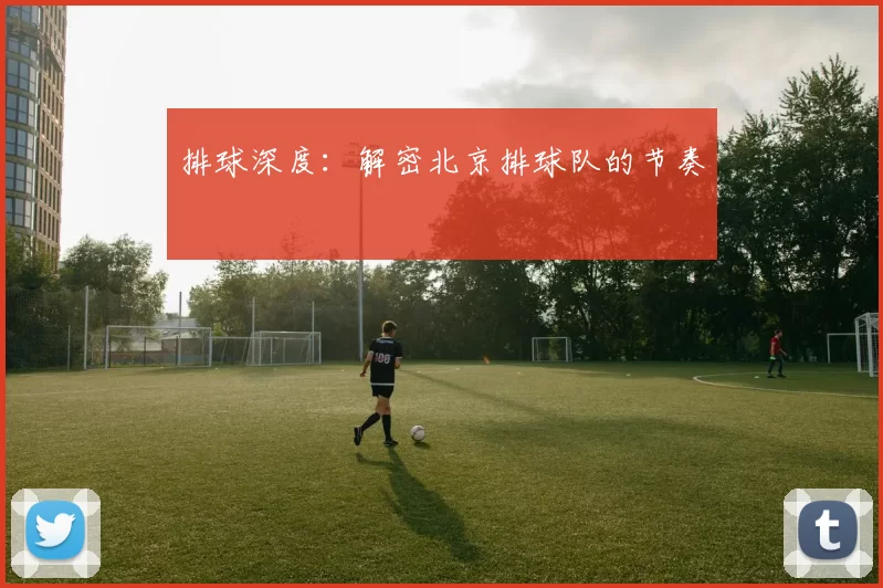 排球深度：解密北京排球队的节奏