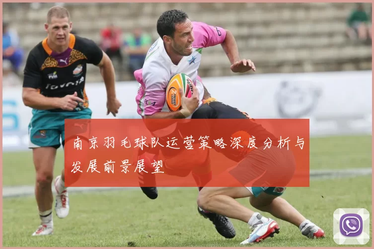 南京羽毛球队运营策略深度分析与发展前景展望