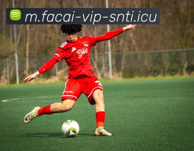 [--classpath--]/a[--id--]-[--page--].html发展历程