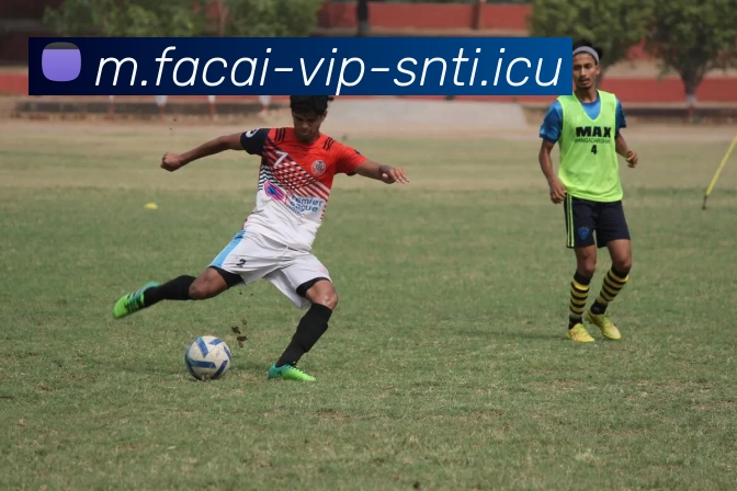 乌克兰足球明星的崛起与成就探秘：从青涩少年到世界舞台的传奇之路